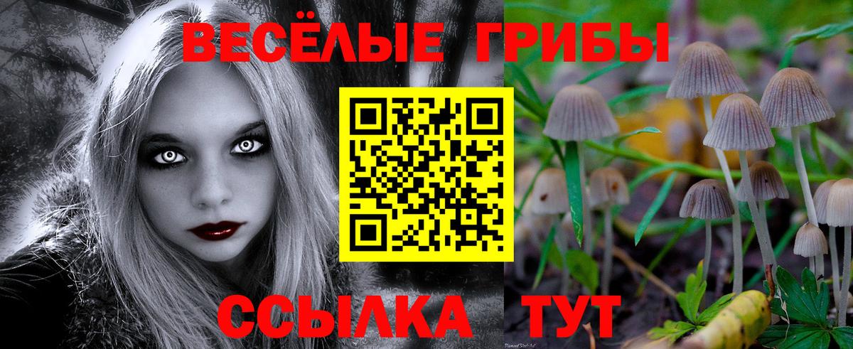 Псилоцибиновые грибы Magic Shrooms Орехово-Зуево